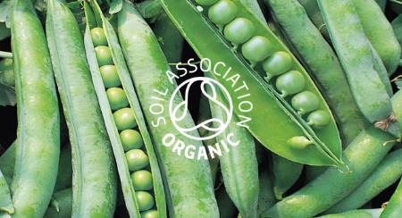 Picture for category Organic Peas